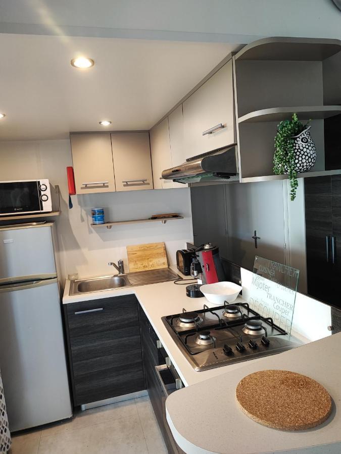 Mobilhome 741 Les Charmettes,3Ch,2Sdb,Lave Linge,Lave Vaisselle,Clim,2Wc لو ماثيز المظهر الخارجي الصورة